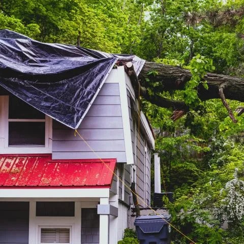 Storm damage repair