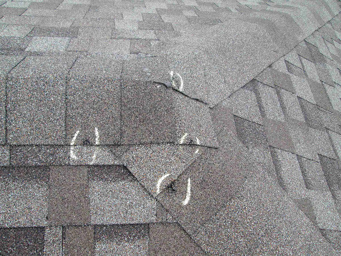 a shingle roof damaged by hail