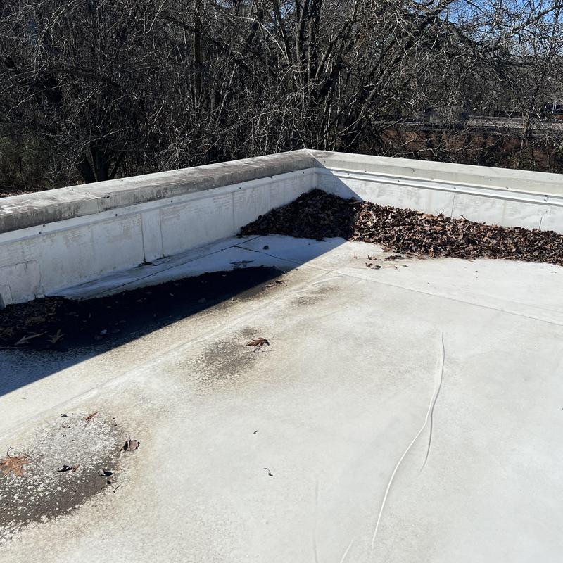 flat roof covered in leaves and standing water