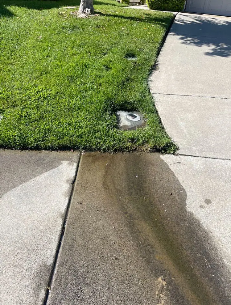 patch of grass with a water line leak