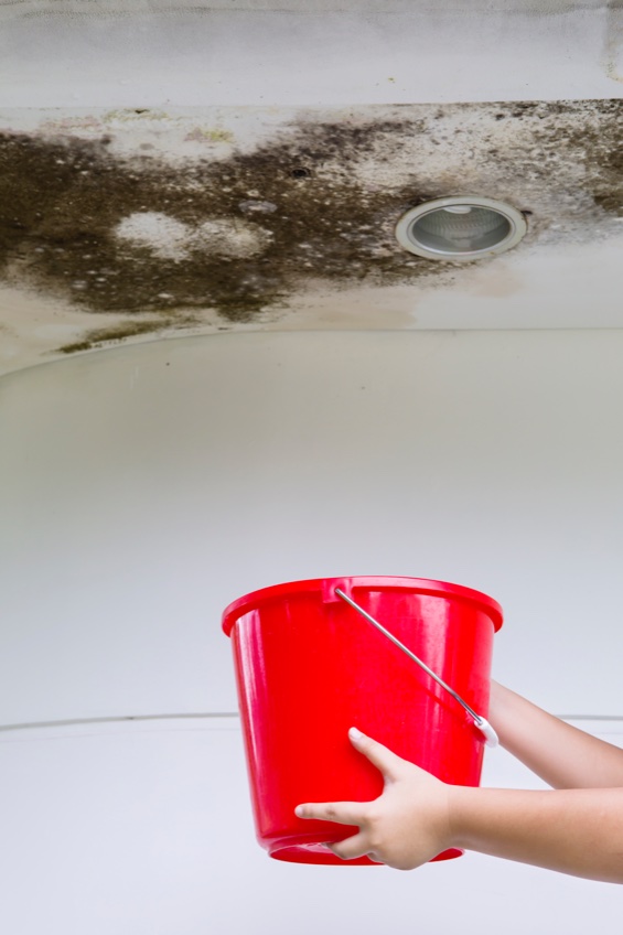 red bucket under leaking ceiling