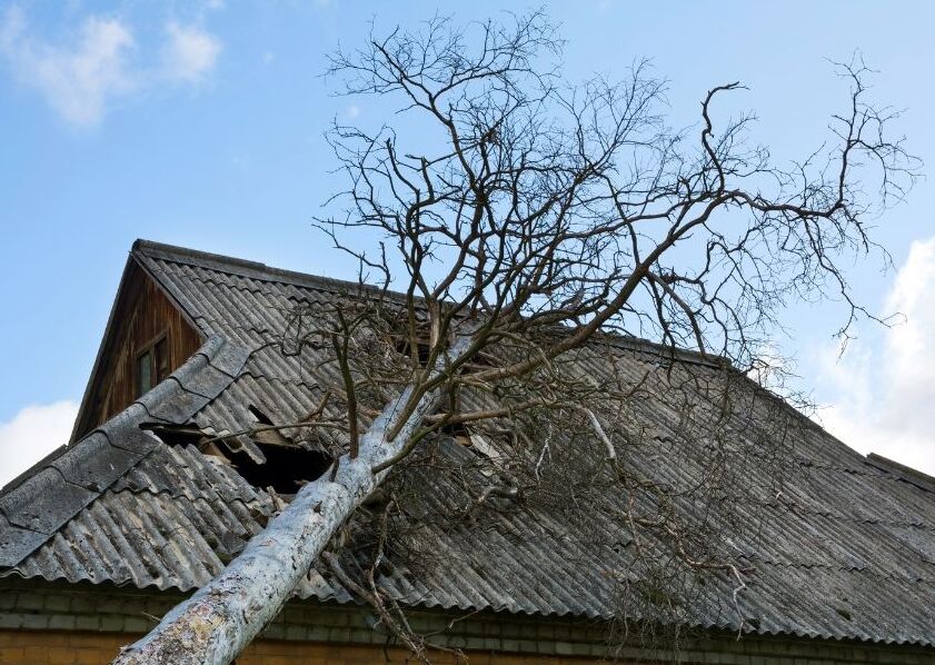 A tree lays on top of a damaged roof.