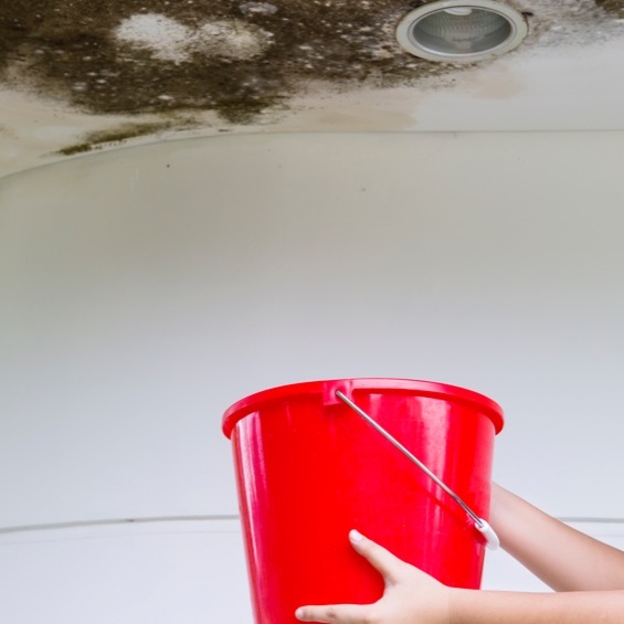 roof leak with red bucket